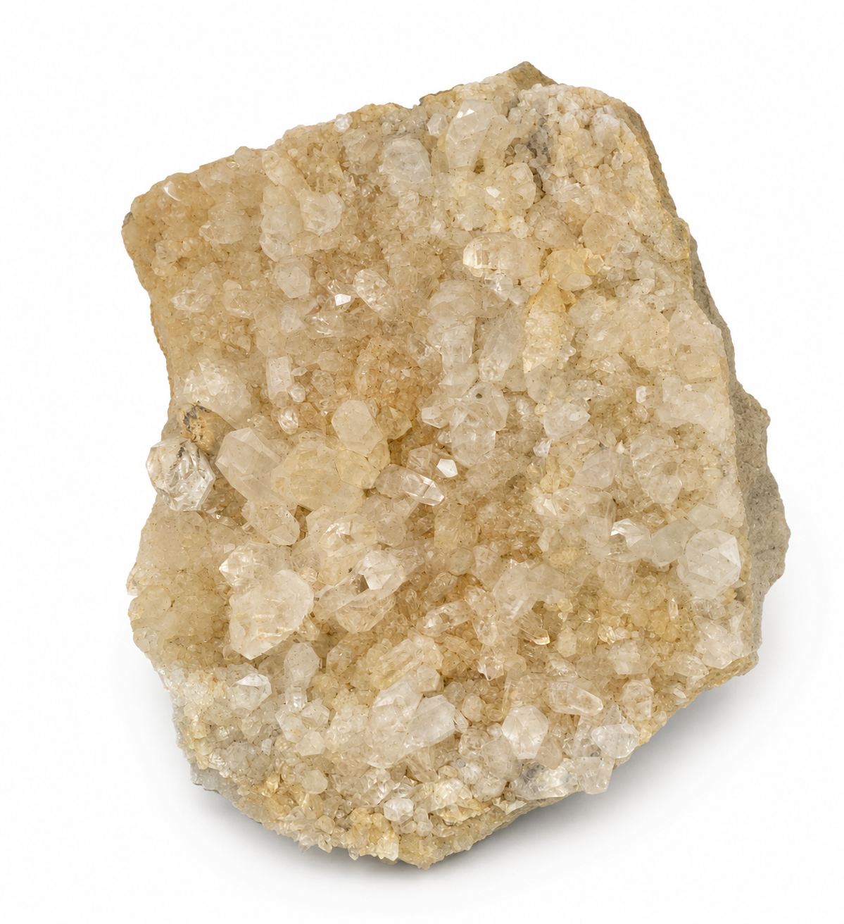 MINERALS & FOSSILS — Accessory Preview Inc.